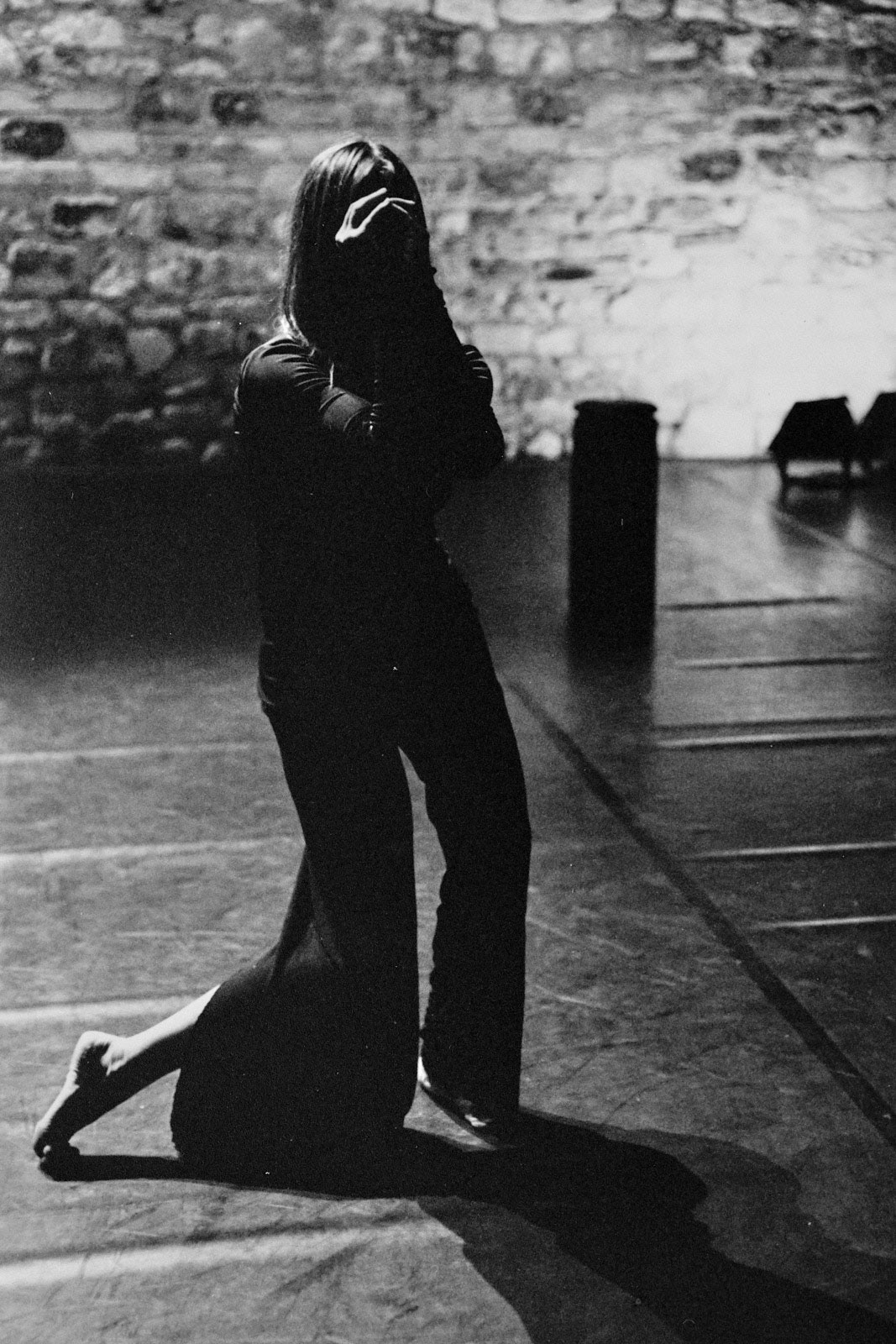 Biographie Anne Dreyfus